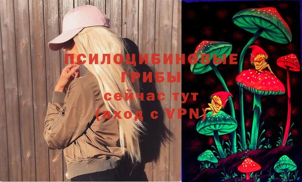 кокаин Алексеевка